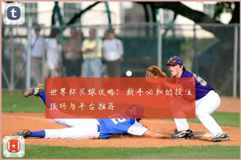 世界杯买球攻略：新手必知的投注技巧与平台推荐