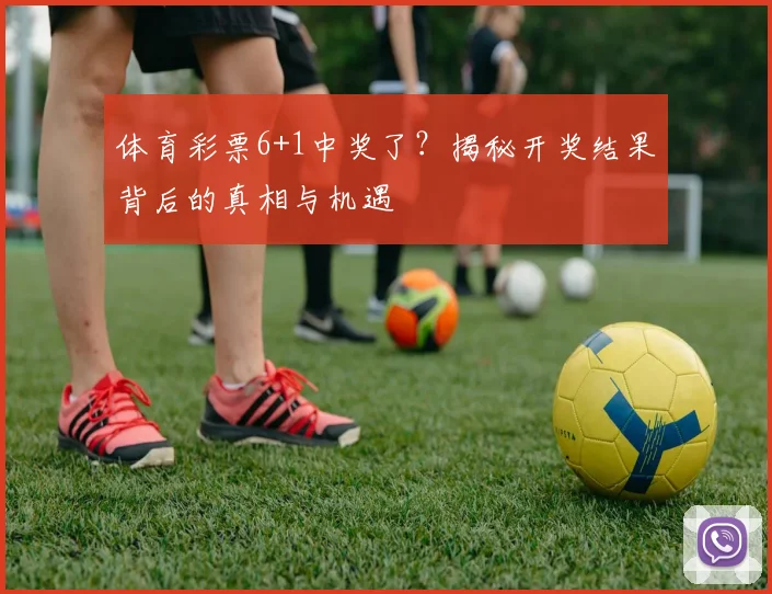 体育彩票6+1中奖了？揭秘开奖结果背后的真相与机遇
